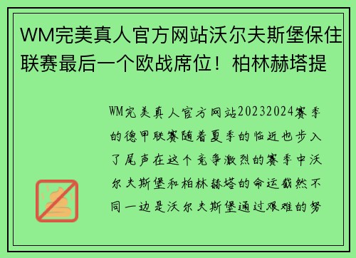 WM完美真人官方网站沃尔夫斯堡保住联赛最后一个欧战席位！柏林赫塔提前降级